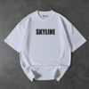 1042AOV SKYLINE R34 BL