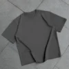 BSCS-04g3 GRIS
