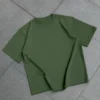 BSCS-07g3 VERDE